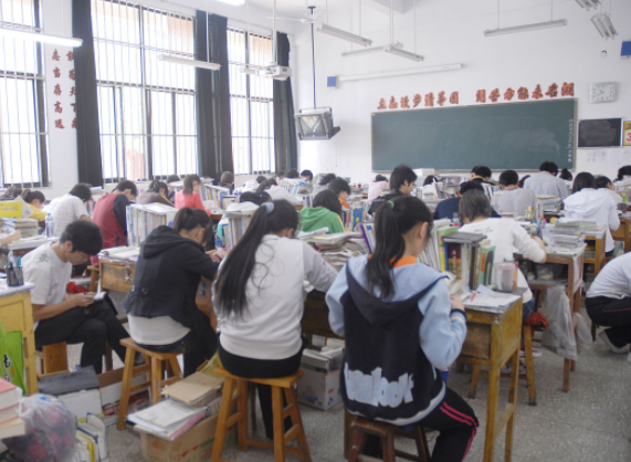 >小小设计师用废旧纸盒搭建未来之家让思维的种子在现实土壤中扎根
