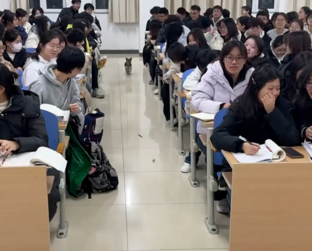 >了解与关心学生将管理育人服务育人落到实处服务于学生的全面成长