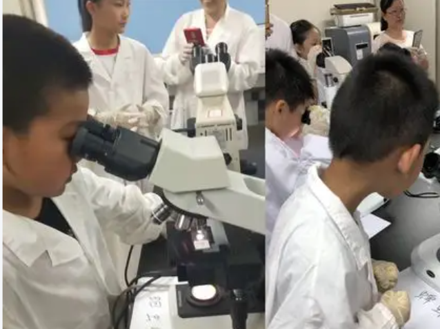 >构建起网络讲堂区域教研的数字教育新生态中心节点全覆盖