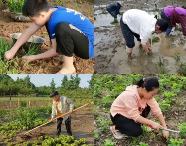 >搭建实景讲堂实时收集学生劳作数据用智能点评代替纸质打分