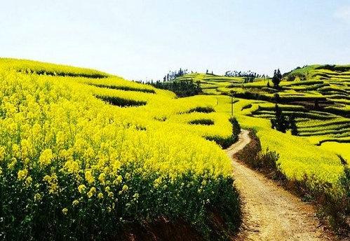 >乡村微旅游值得试一试_山海关乡村旅游网