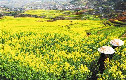 >为市民游客送上独具匠心的银城秋季乡村旅游_山