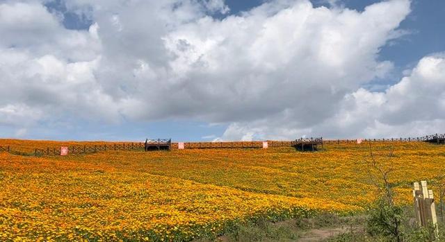 ><b>乡村旅游发展如火如荼保护生态环境不被破坏_山</b>