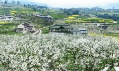 ><b>推出休闲农业与村庄旅行春季线路_山海关乡村旅</b>