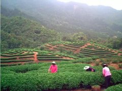 >新场民宿勾勒一个古镇的江南梦_山海关乡村旅游