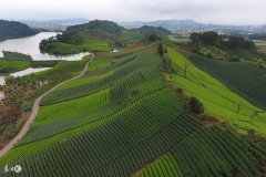 >新时代旅游业要有哪些新作为_山海关乡村旅游网