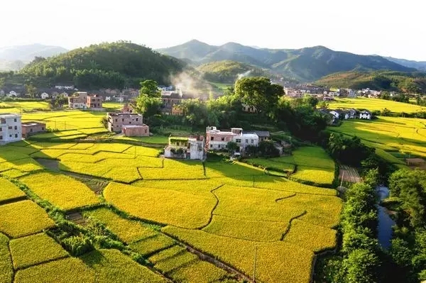 >分析︱乡村旅游已成为一种生活方式_山海关乡村