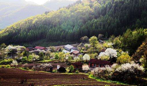 >吉林：加快发展乡村旅游 建设生态旅游大省和冰