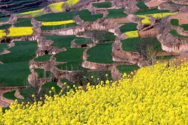 >洛宁乡村旅游：让“绿水青山”成“金山银山”