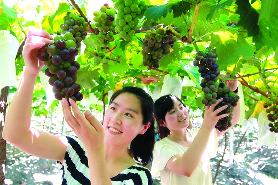 >连云港“旅游+农业”让农村增色、农业增效、农