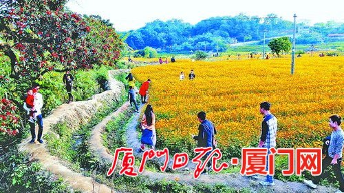 >福建：厦门北部山水画廊 乡村旅游天堂_山海关乡