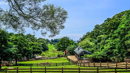 >广东：清远市做好“花文章”发展乡村旅游_山海