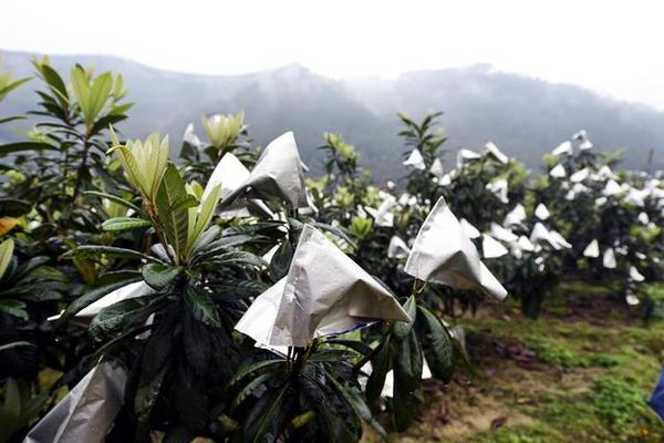 >四川：遂宁罗家桥村实施精准旅游扶贫 办桃花节