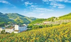 >施行村庄复兴战略金融业大有可为_山海关乡村旅