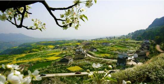 >四川：广元苍溪旅游扶贫拔“穷根_山海关乡村旅