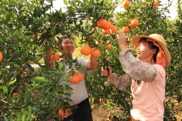 >甘肃：乡村旅游：奏响扶贫致富新乐章_山海关乡