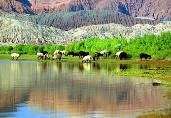 >新疆：阿克苏大力发展乡村旅游 促农增收_山海关