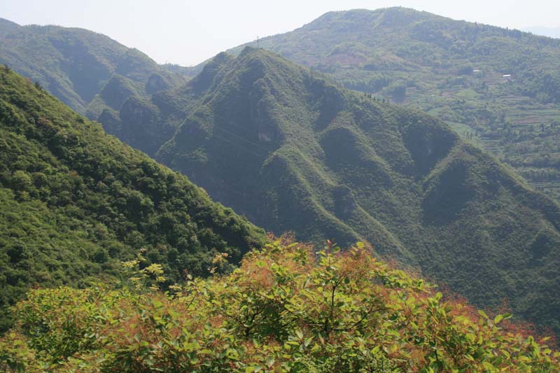 图1：紫阳河从神奇的峡谷穿过通往神女溪   唐探峰摄.jpg