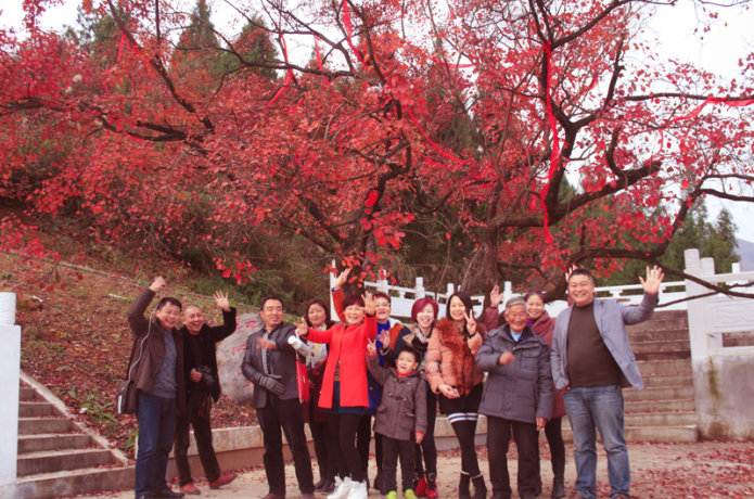 >重庆：巫山培石精心打造“红叶王”景区发展乡