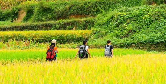 >青海：2020年有望带动20万农牧民发展旅游增收_山