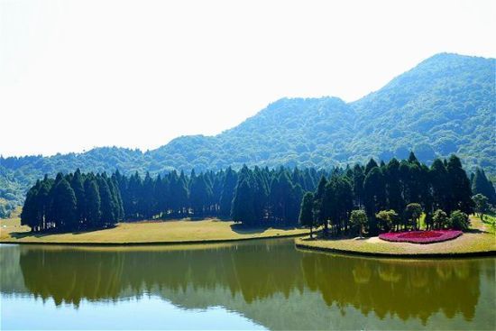 >广西福绵：着力精品新业态 打造乡村旅游升级版