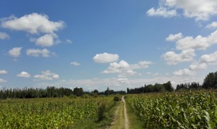 发展乡村旅游为脱贫提质增效