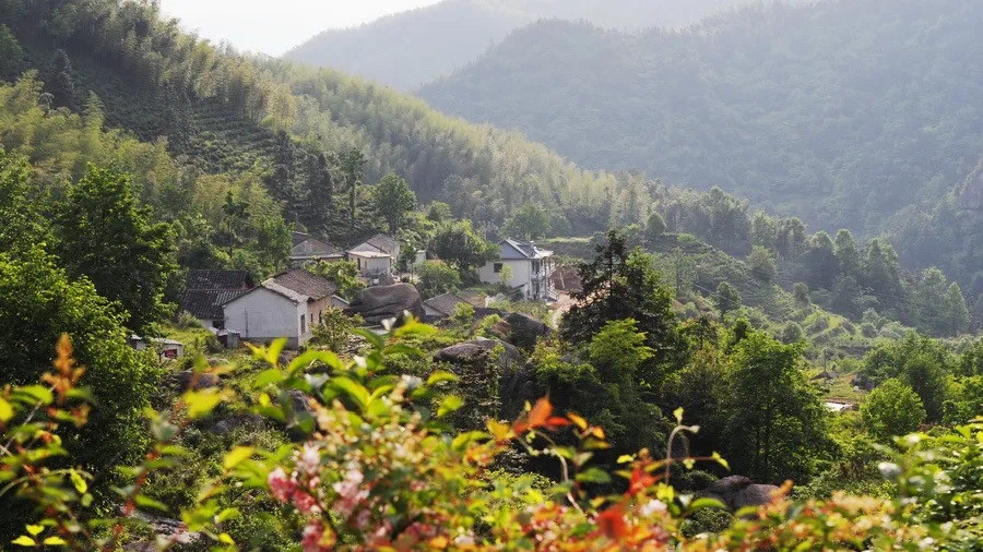 >徽州古村的村头一般是由老树河流等组成的“水