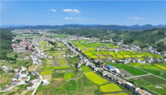 >建成稻菜菌等复合种植基地10万亩亩均年增收10