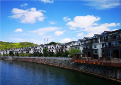 >数字乡村建设乡村特色小镇与乡村数字化管理成